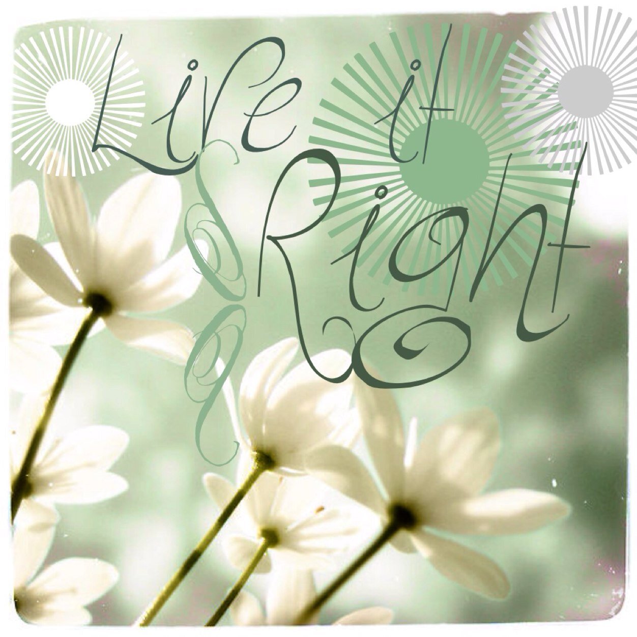 You only live once, though dumb, is true. You get one shot at this crazy, beautiful, ride we call life. Live it as best you can. Love it!