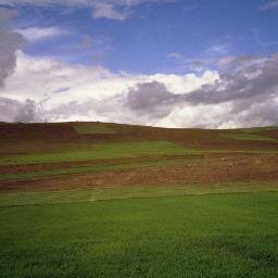 Salineras2012's profile picture. 基本つぶきやませんが、あしからず。