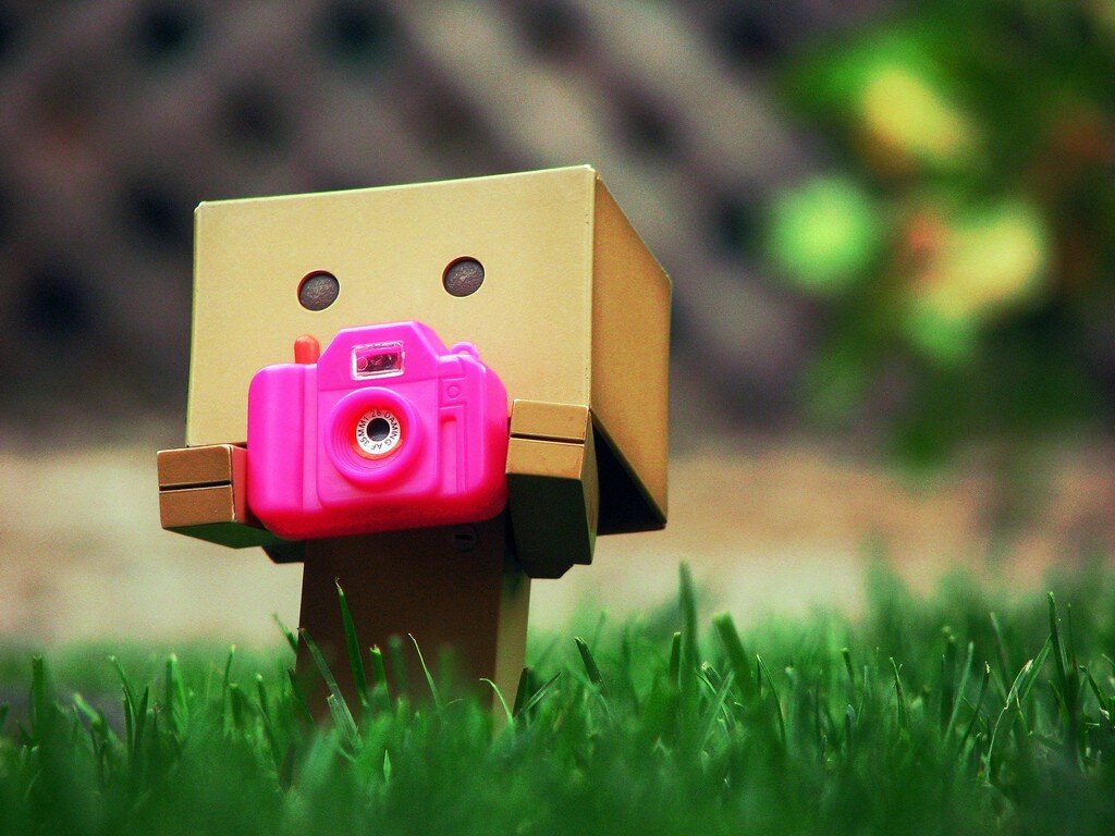 dineshkarthik05's profile picture. 