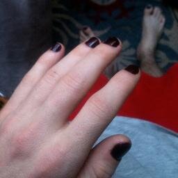 Guacamoel's profile picture. cat