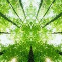 Tous Equi'table  (@tousequitable) Twitter profile photo