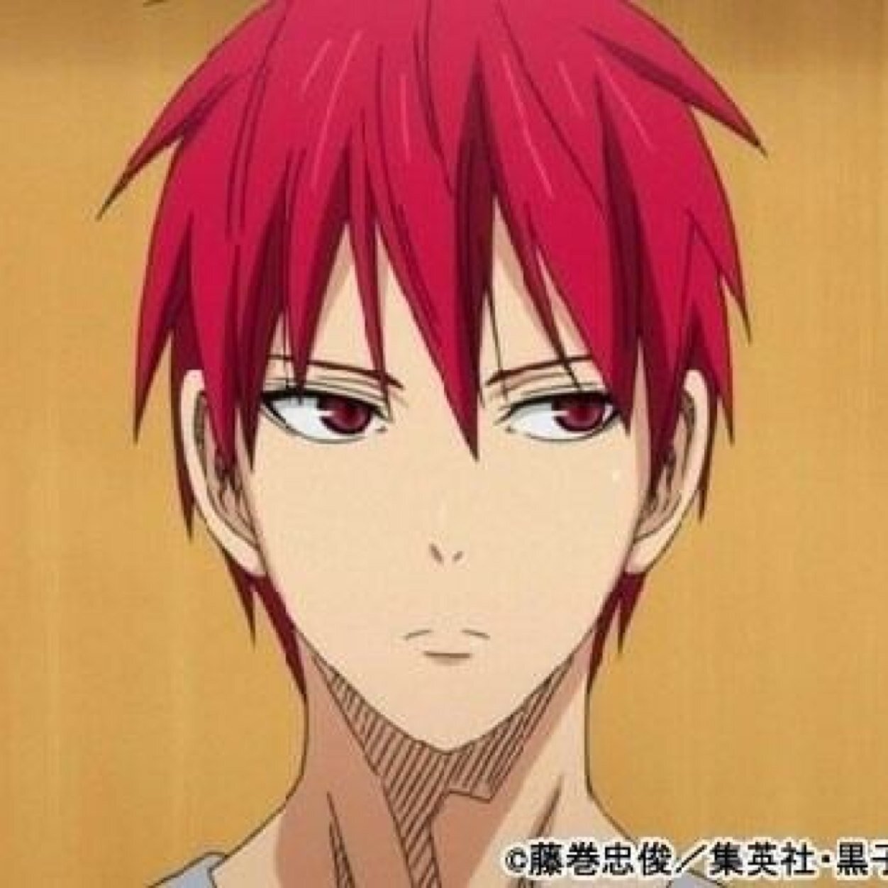 せーちゃまさんのプロフィール画像