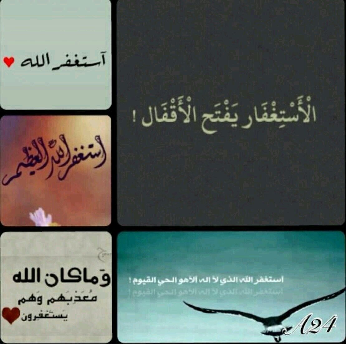 aiws201450's profile picture. 