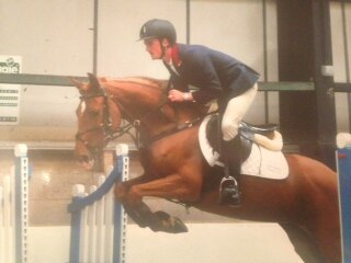 SoulEquestrian's profile picture. We are a professional yet private yard, offering a wide range of services including full, schooling,sales, breaking and competition livery.