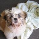 Brittney Wells - @M2110 - Twitter