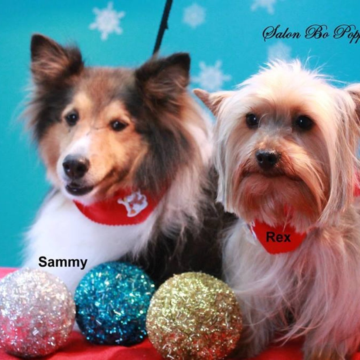 antonio37495621's profile picture. 