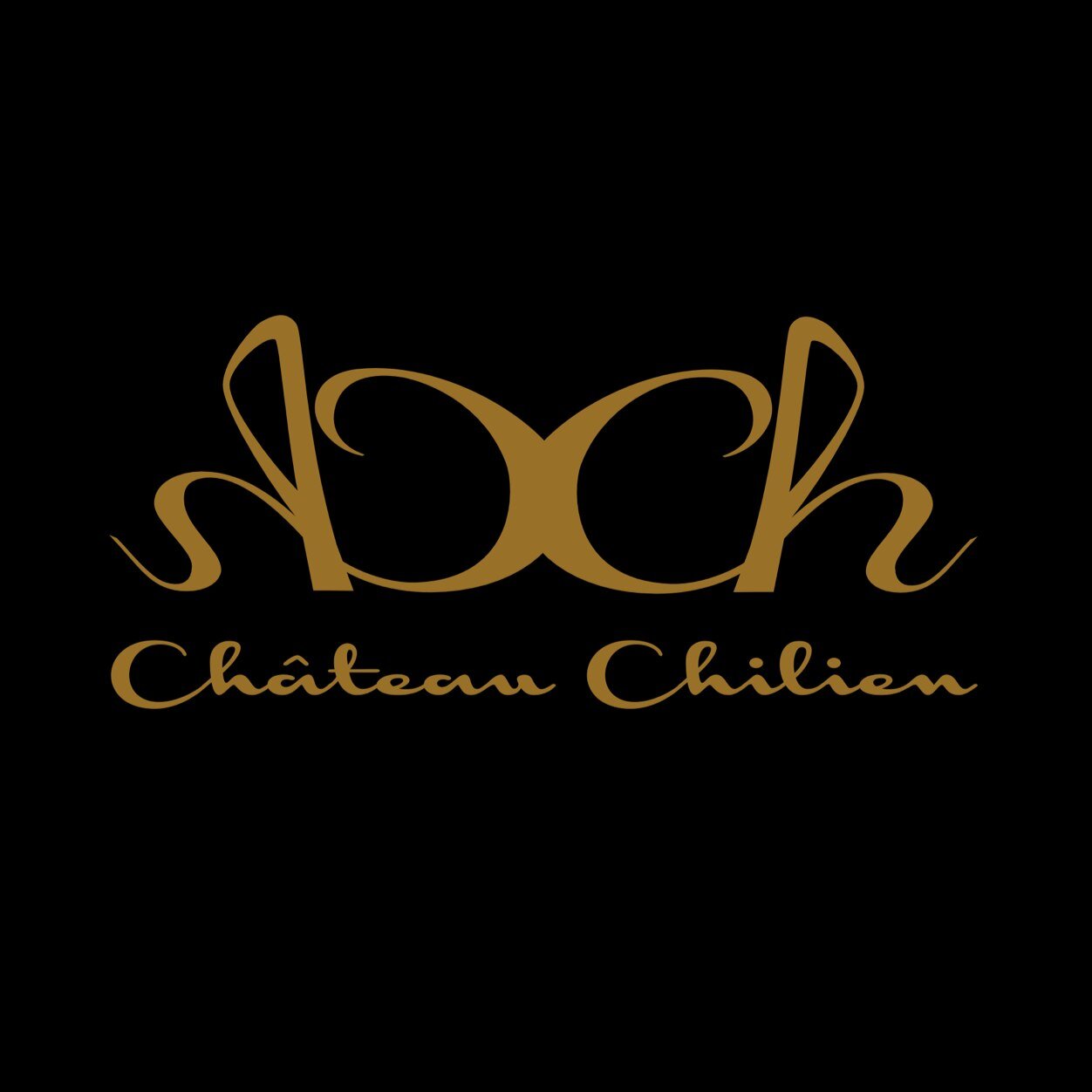 ...un peu de temps qu'ils offrent les meilleurs produits chiliens.  Travailler sur la création d'émotions inoubliables...