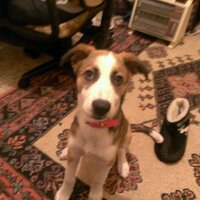 çağdaş ural çullu (@nimrod5091) 's Twitter Profile