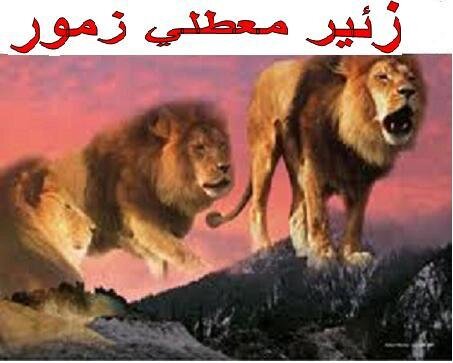 sawtzamour's profile picture. 