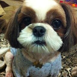 rjbaek10ve's profile picture. I still remember