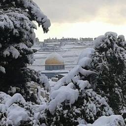 وَهَا نَحْنُ اِبْتَعَدْنَا  مَنْفَى بِكَرَامَةِ وَوَجَعِ بِوَدِّ  وَحَنَّيْنَ يُمَوِّتَ كَمَا يُمَوِّتَ الظُّلَاَّمُ عَلَى عَتَبَاتُ شُرُوق الشَّمْسِ