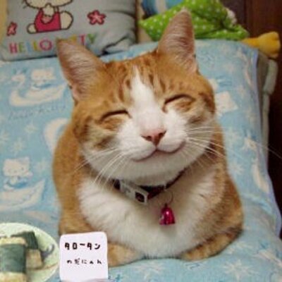 最新ニュース 芸能エンタメまとめサイト Plam5523 Twitter 最新ニュース 芸能エンタメまとめサイト Plam5523 Twitter