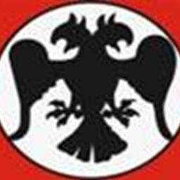 ali_gesginglc Profile Picture