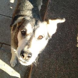 FloRothenflug's profile picture. 23, France