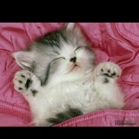 눈을떠주세요 (@onlyone_v123) 's Twitter Profile