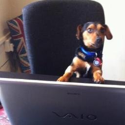 PRPooch's profile picture. Ex-Battersea dog with a nose for a story. Some call me a news hound... they'd be right.  Working at Wordville since 2012. Sidekick to author Lucy Tertia George