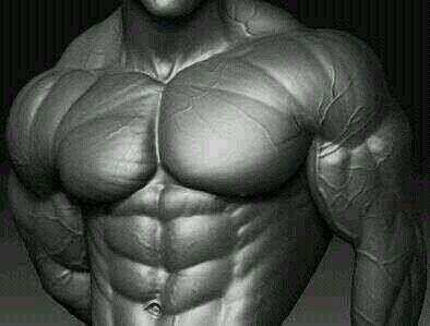 Amante del fitness y bodybuilding. No pain no gain