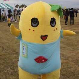 ワンピース／コナン／進撃の巨人／ボッチ／暇でーす（笑）