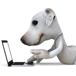 Online shop selling gorgeous & practical dog products & accessories. Also follow us for dog news, advice & funnies.