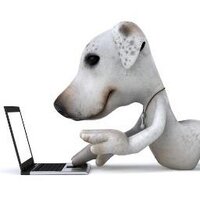 D for Dog (@dfordog) 's Twitter Profile Photo D for Dog (@dfordog) 's Twitter Profile Photo