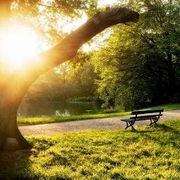 todo_frases_2's profile picture. No hay nada que de más felicidad que explorar el mundo ✨