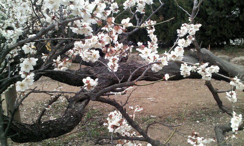 kyoungchul44's profile picture. 