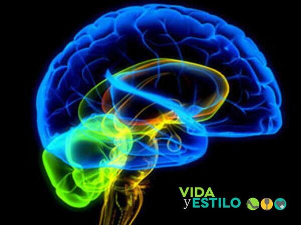 Todo es cuestión de actitud, para afrontar los adversidades de la vida..!
Enfatizo lo positivo...!