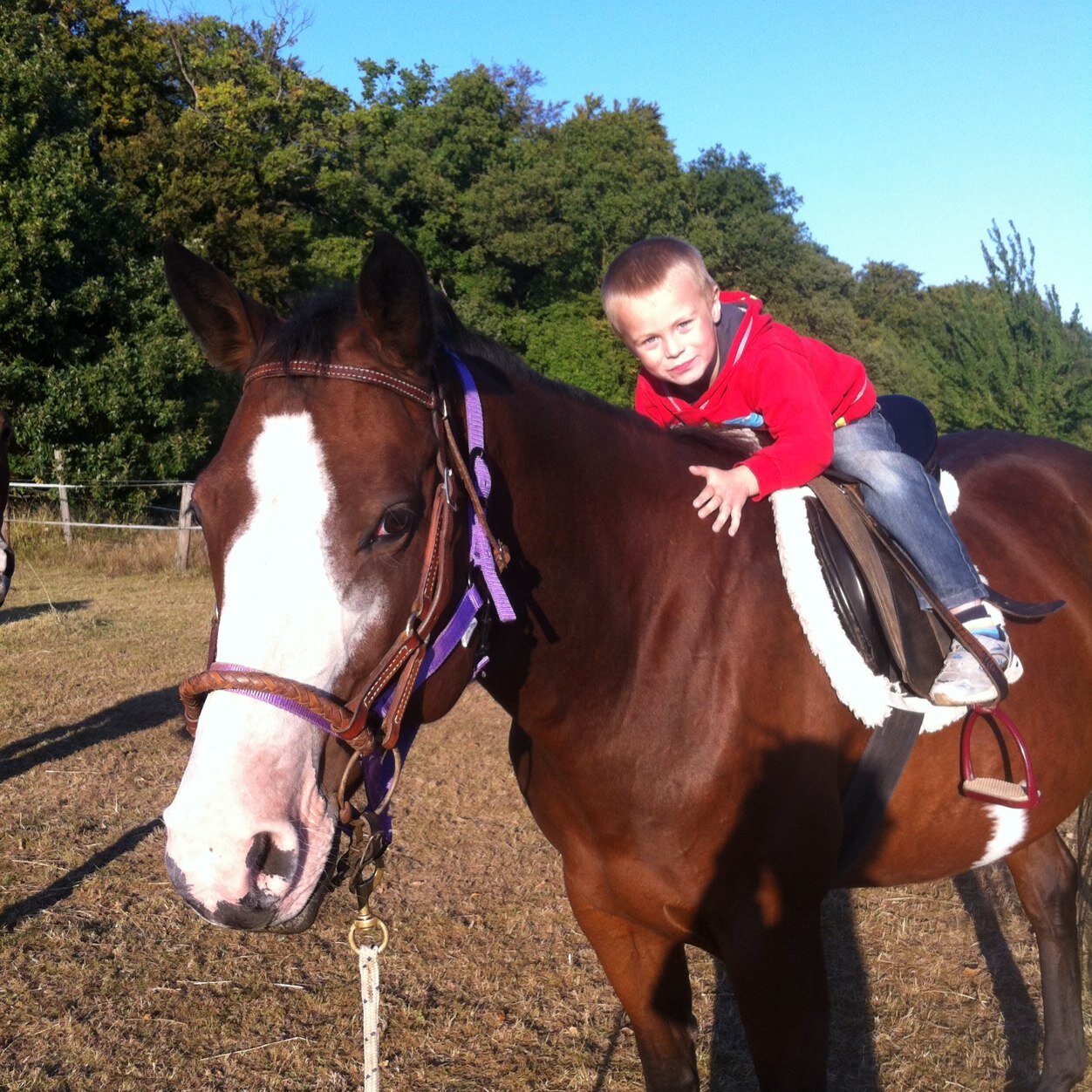 sandra83x's profile picture. 