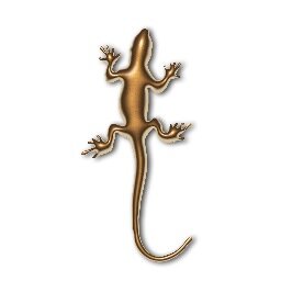 Salt Spring Auction and Market is a fun place to auction off items and services to the highest bidder as well as a great place to open your very own store.