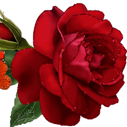 abril1952's profile picture. 