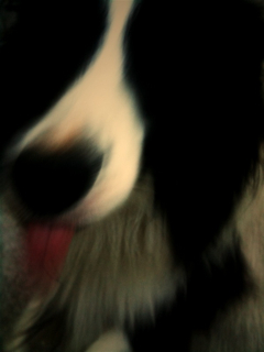 Haaaappy's profile picture. 