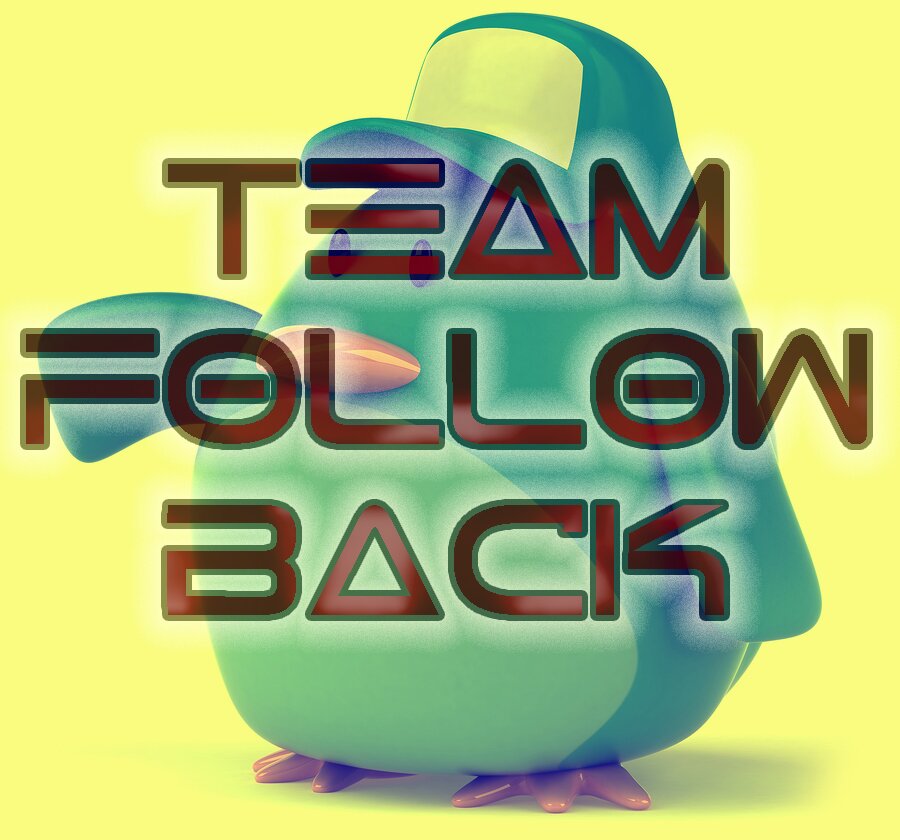 #TeamFollowBack #TFollowBack #TeamFBack