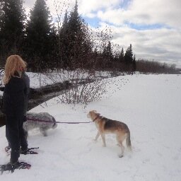 GailVent's profile picture. Director of Partnership for non-profit in Ottawa - All tweets are mine