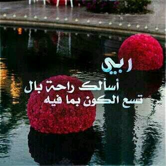الحَياة لاتعطينا كل مانُحب ولكنّ منَ نحبهم يعطونا كل الحَياة..!