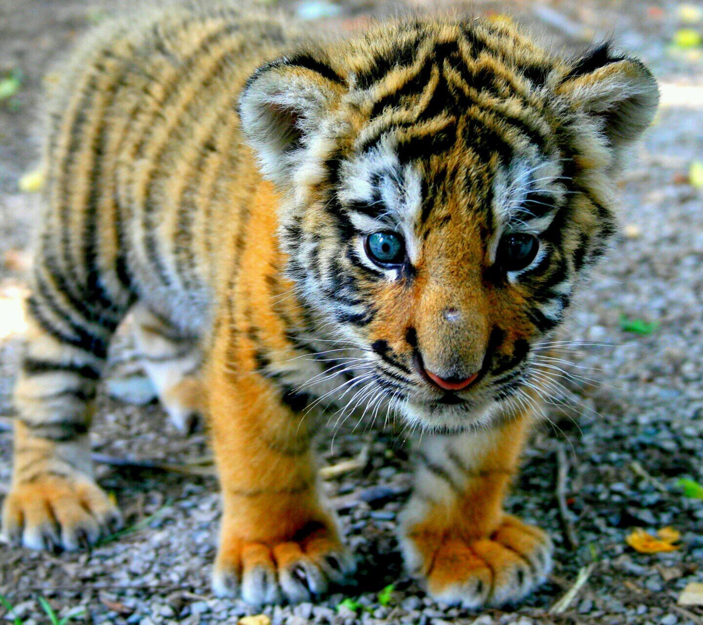 amberw1009's profile picture. 