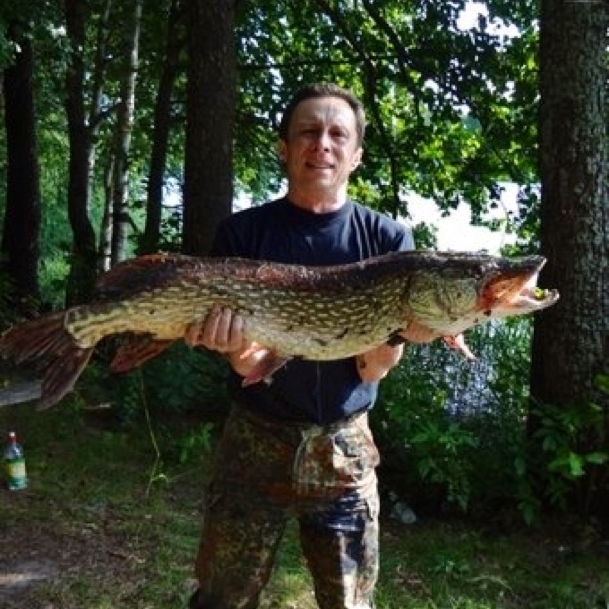 nevremine's profile picture. 