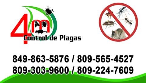 m4controldeplag's profile picture. Somos una compañia de servicios de fumigacion,tratamiento y exterminio de plagas! 809-565-4527