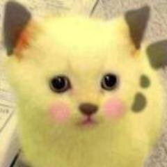 K_Kurapiko Profile Picture