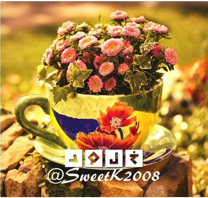 ‏‏‏‏‏‏ليتنا إذا متنا تركنا لكان الموت غاية كل حي لكنا إذا متنا بعثنا ونسأل بعدها عن كل شي الخاص مغلق (خربشاتي معضمها في مفضلتي )