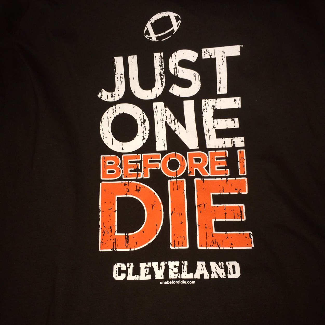 Cleveland Sports fan