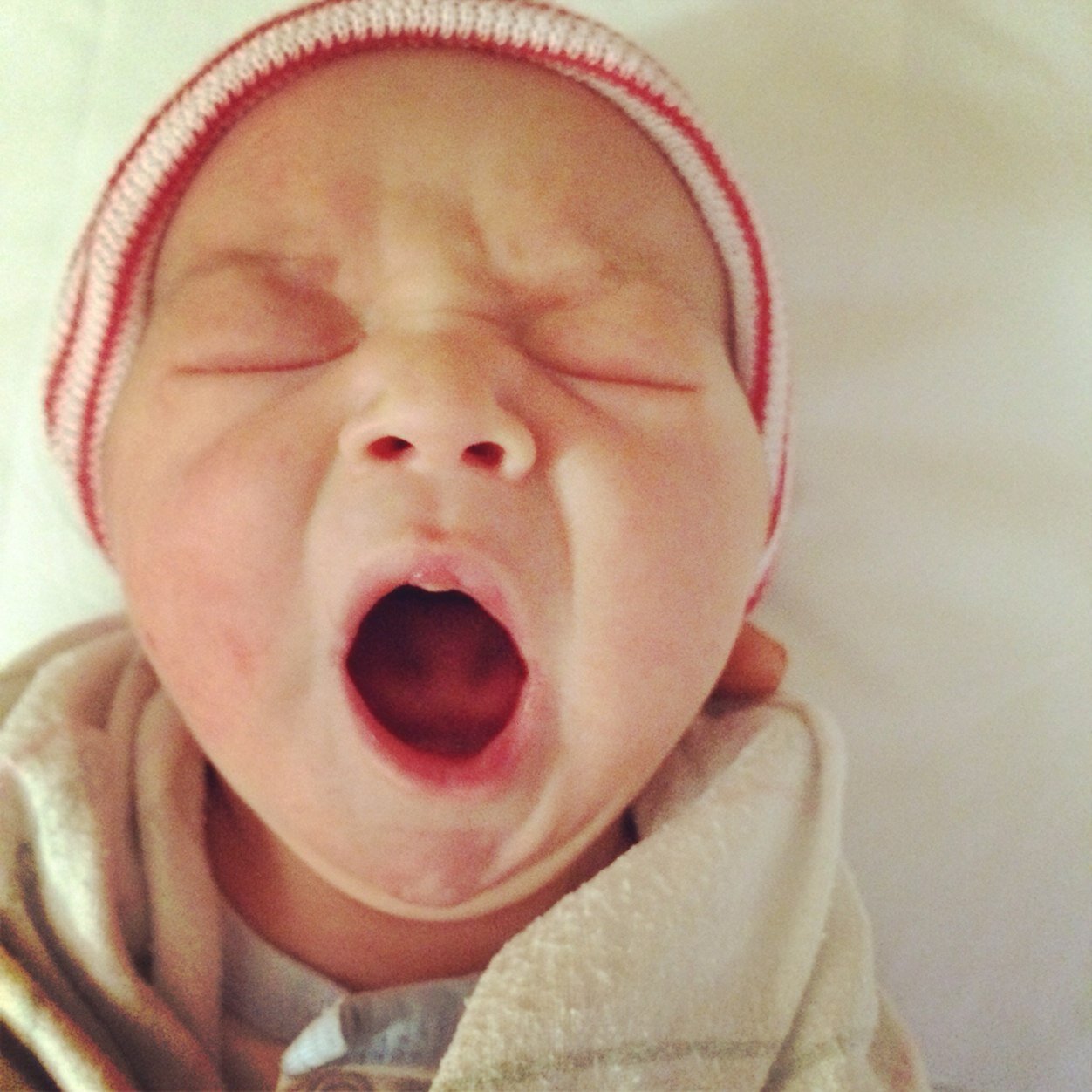 carleydyan's profile picture. i might be weird and i might have too much fun. but i like my life, yo.