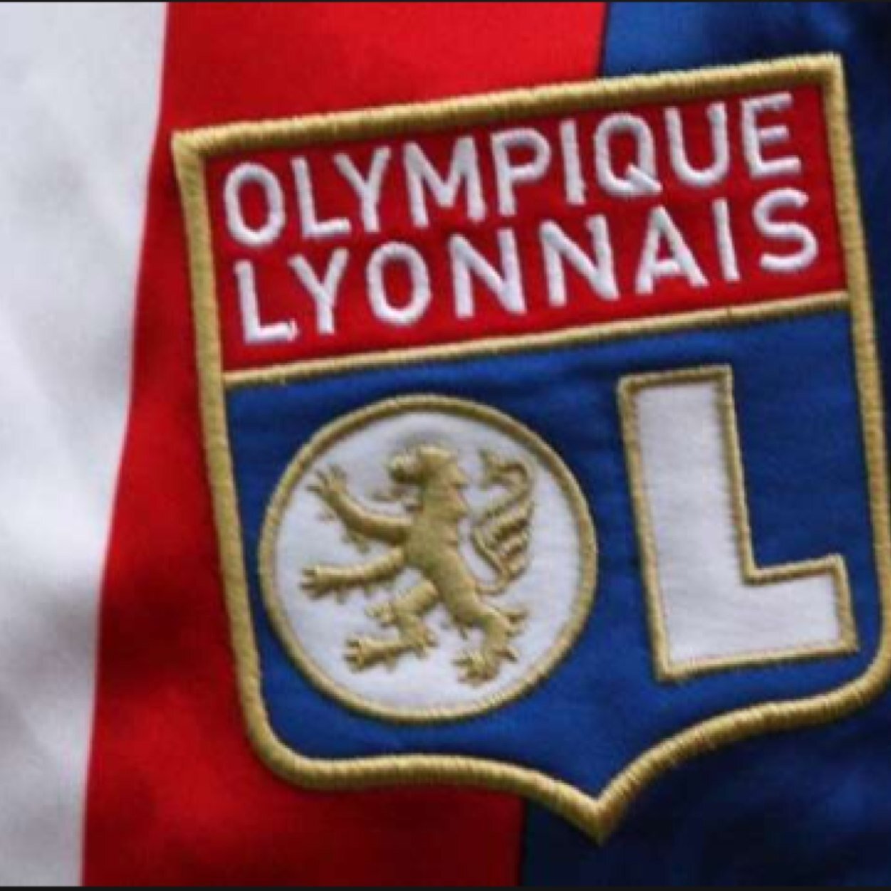 Je retweet tous les tweets interessants à propos de l'@OL. #TeamOL #OL