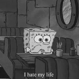 sarahho35377188's profile picture. *a dreamer girl*, love one direction :))^-^