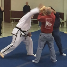 Martial artist, customer support manager, chef, and author... Check out my author page @AuthorBertEdens...