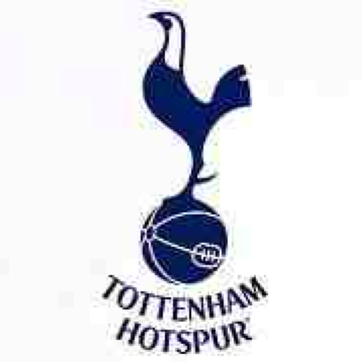 Tottenham Hotspur Wilstead based fans #COYS