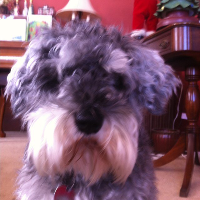 mcharty1's profile picture. 