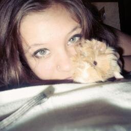 Nose que mierda poner aquí .-.
