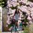 Jule_lit's profile image