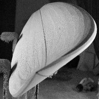 Nine Digit Media (@ndmimages) 's Twitter Profile