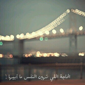 متذوق للشعر  رايي امتيازي